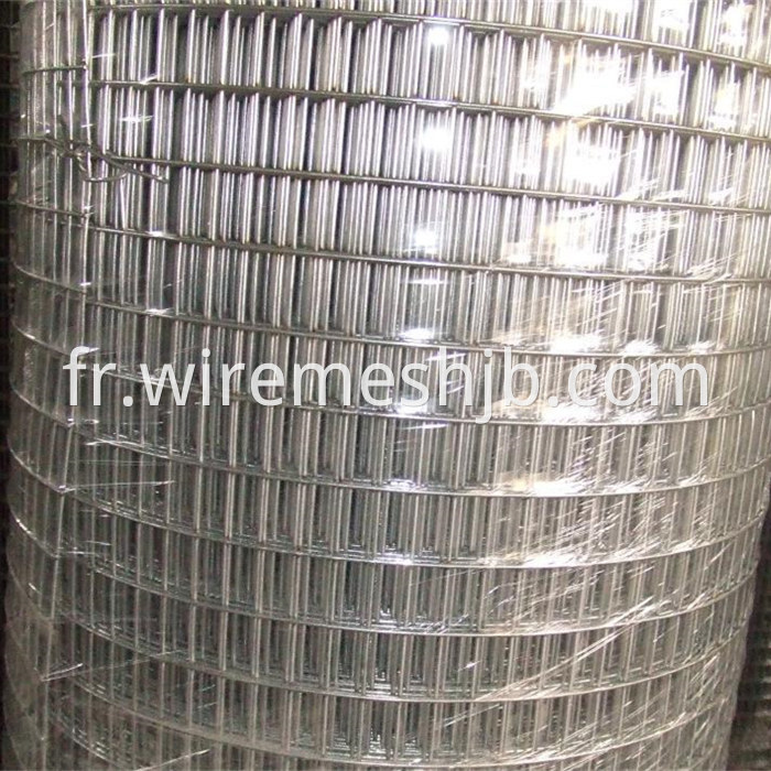 Hot Dipped Galvanized Welded Mesh